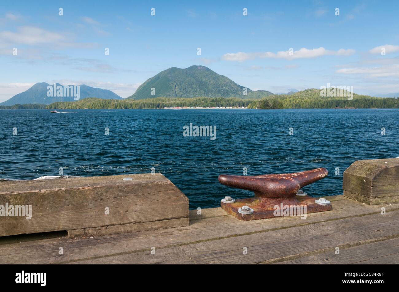 Tofino, Vancouver Island, British Columbia, Canada. Banque D'Images