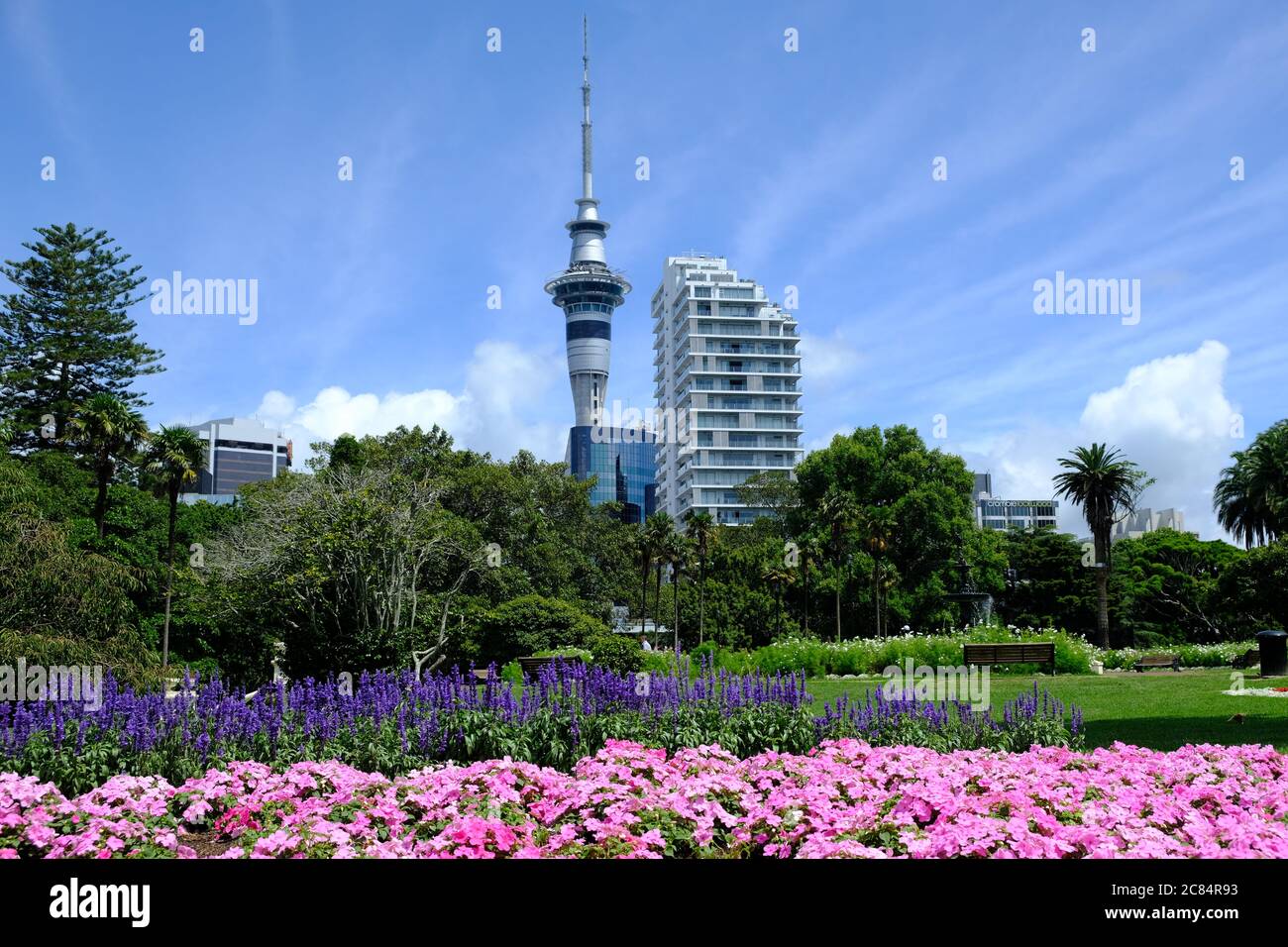 Nouvelle-Zélande Auckland - vue sur la Sky Tower depuis Albert Park Banque D'Images
