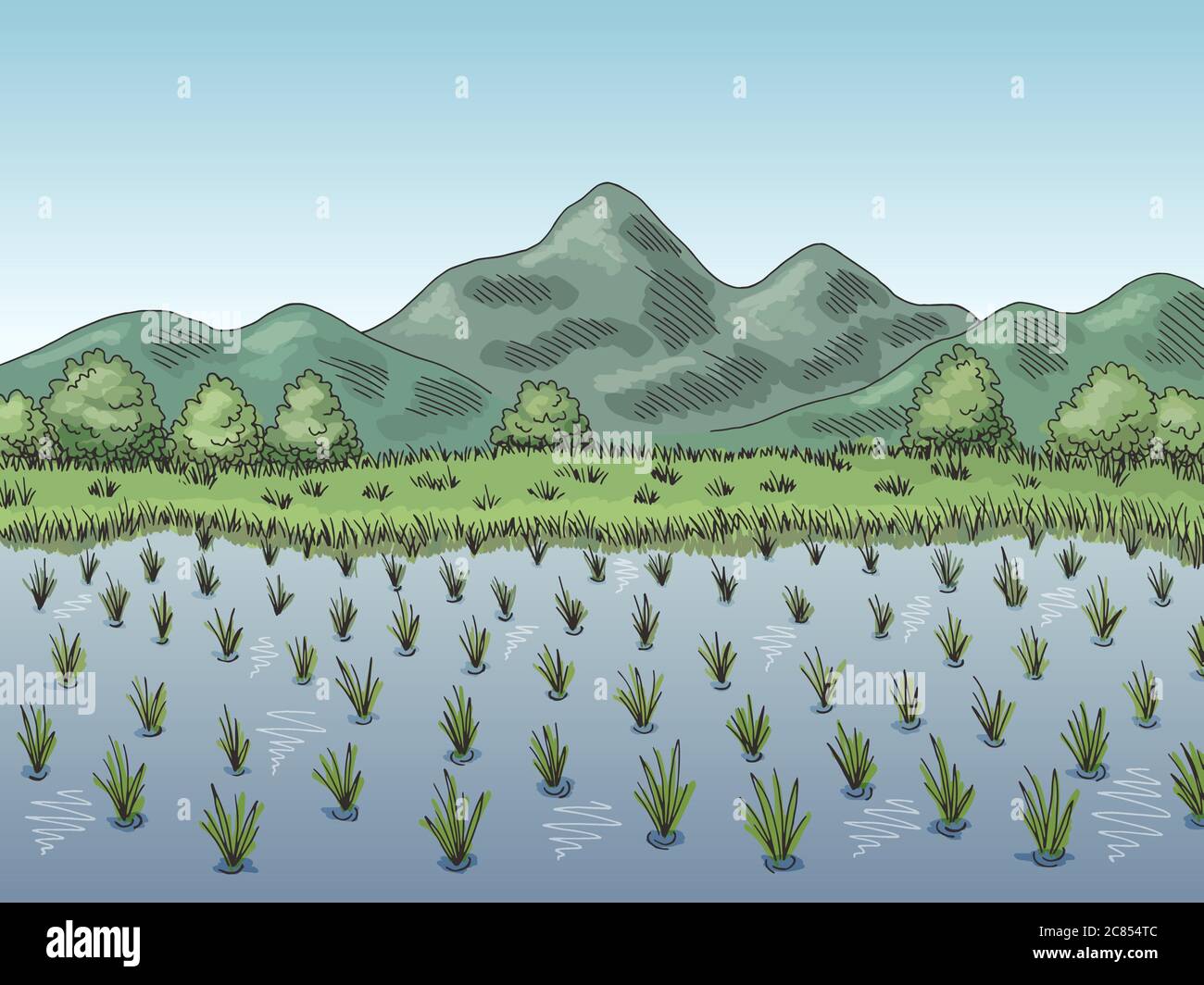 Champ de riz graphique couleur paysage dessin illustration vecteur Illustration de Vecteur