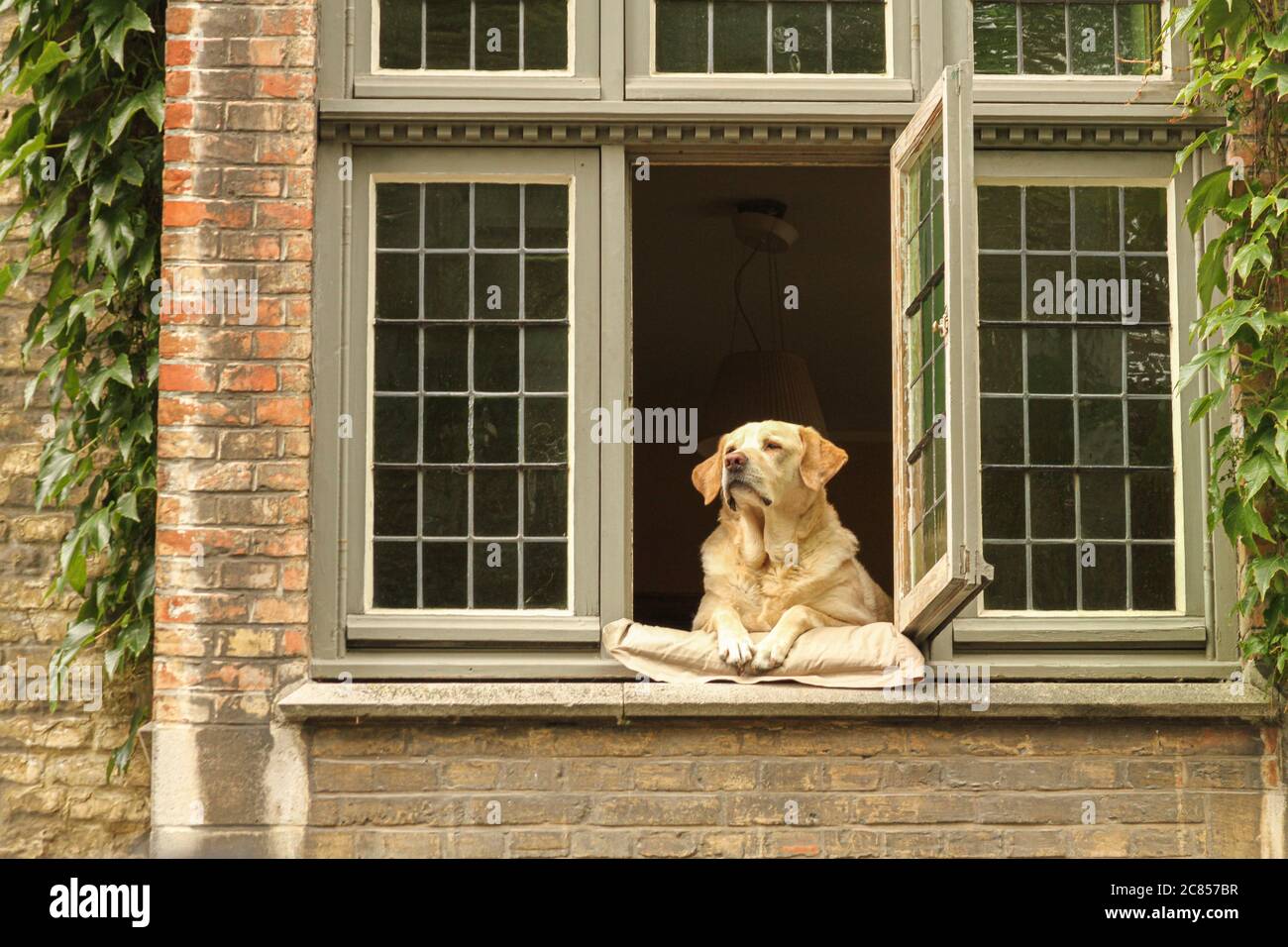 Bruges, Belgique scènes de rue Banque D'Images