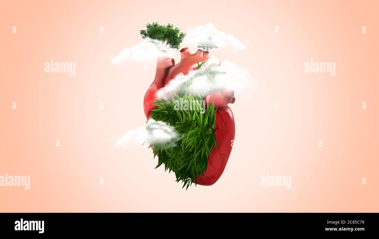 Concept de coeur naturel, concept de coeur sain, sauver l'âme, arrêter le concept de pollution, durabilité Banque D'Images
