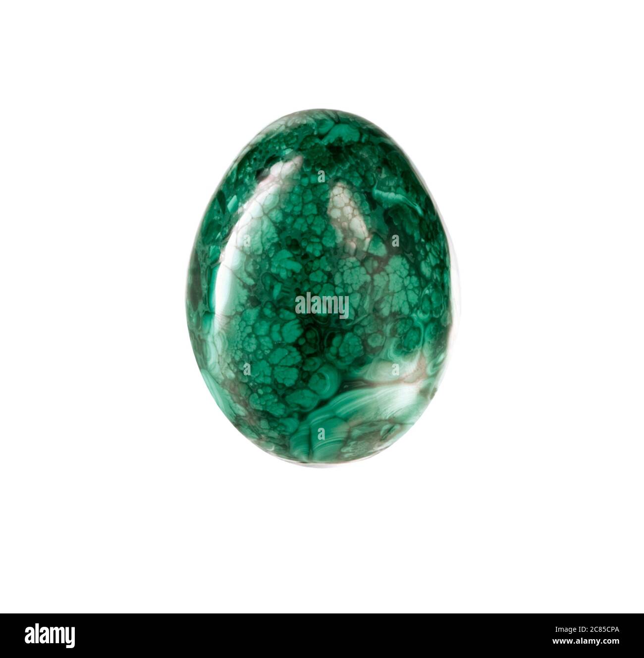 Œuf de malachite sur fond blanc. Banque D'Images