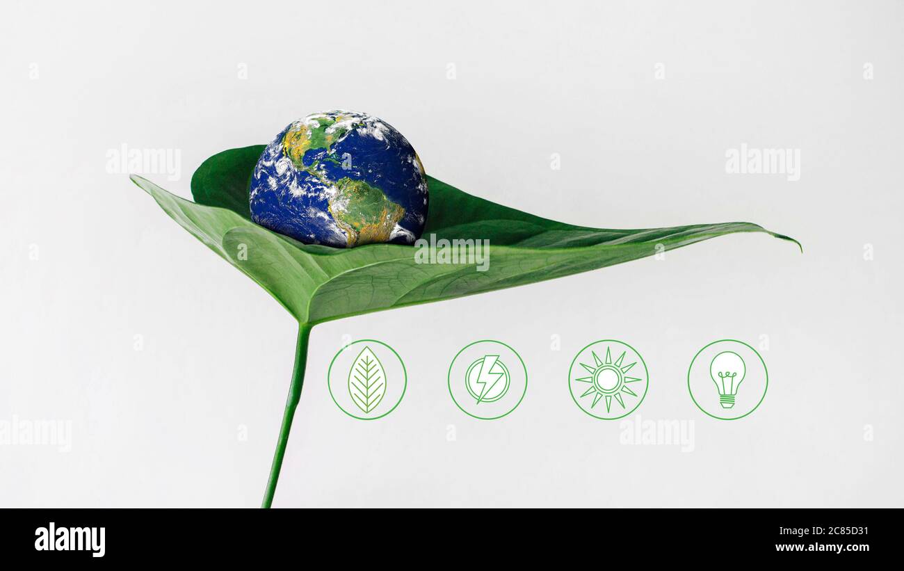 Une feuille embrasse le monde, le concept de durabilité, passe au vert, sauve le monde Banque D'Images