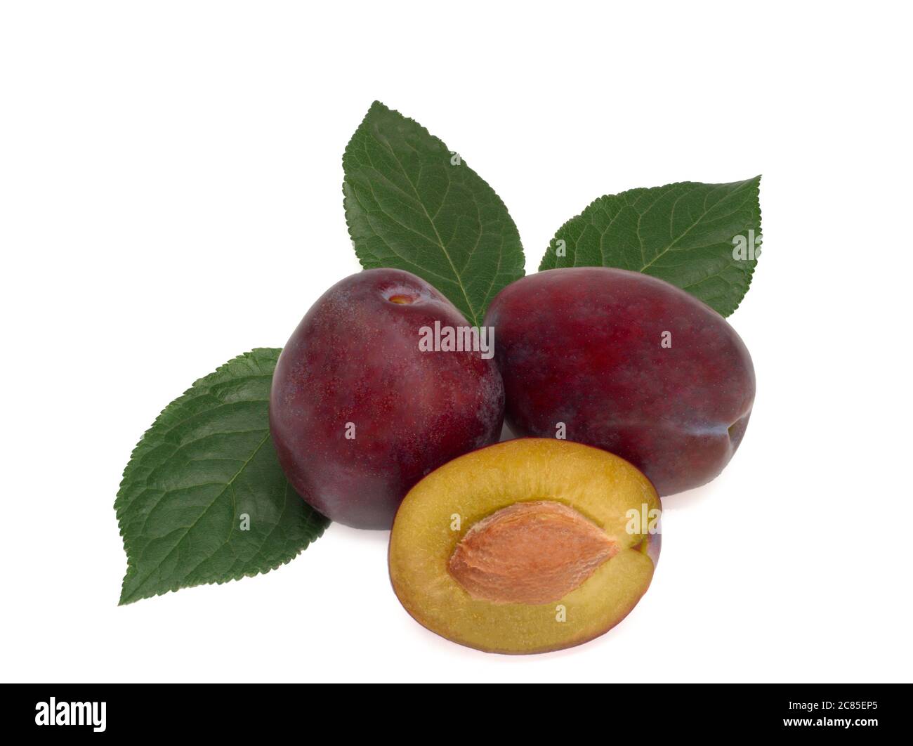 Trois prunes avec feuilles de prune sur fond blanc. Banque D'Images