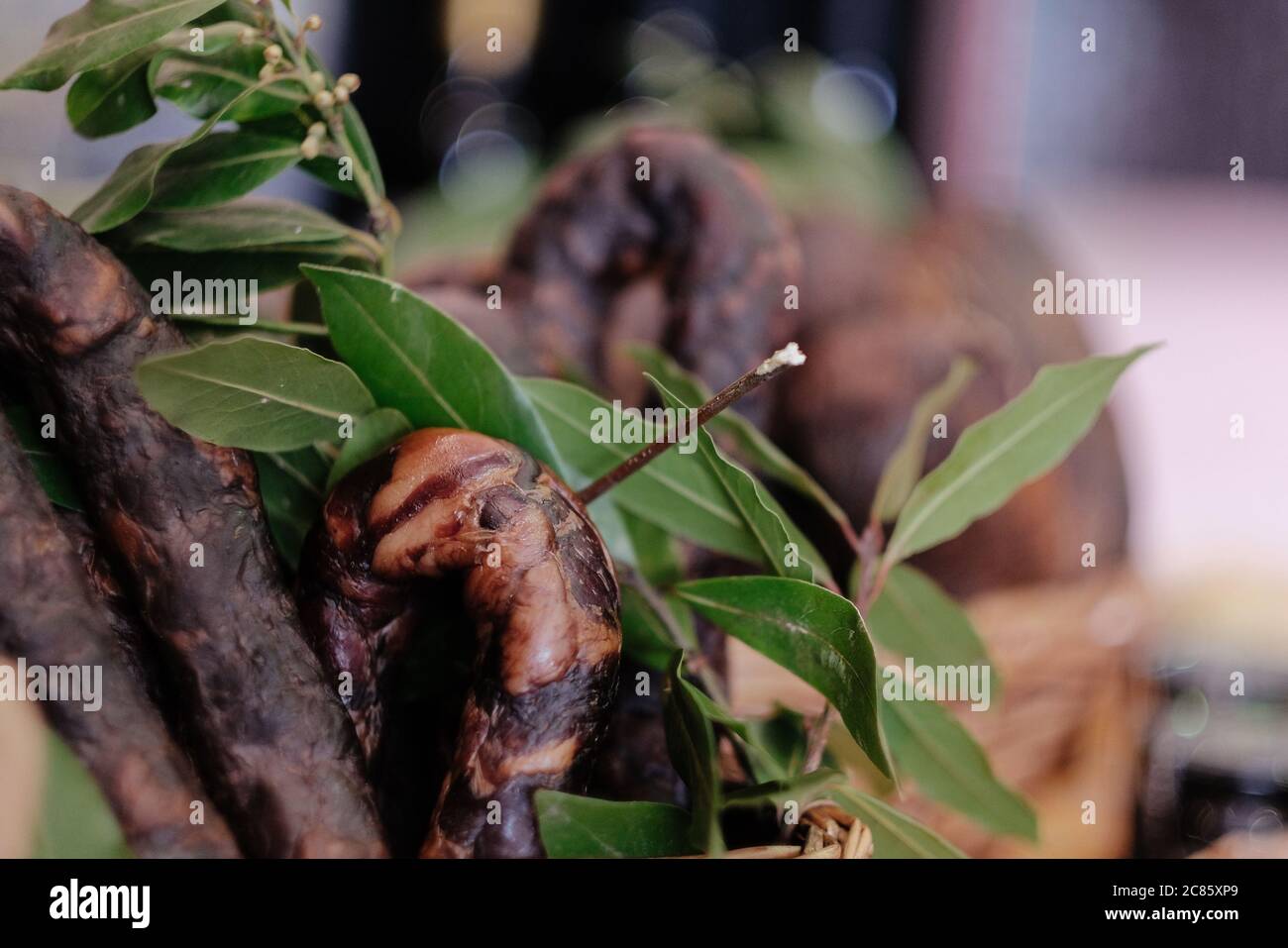 Gros plan de différents types de saucisses accrochées sur le branches Banque D'Images