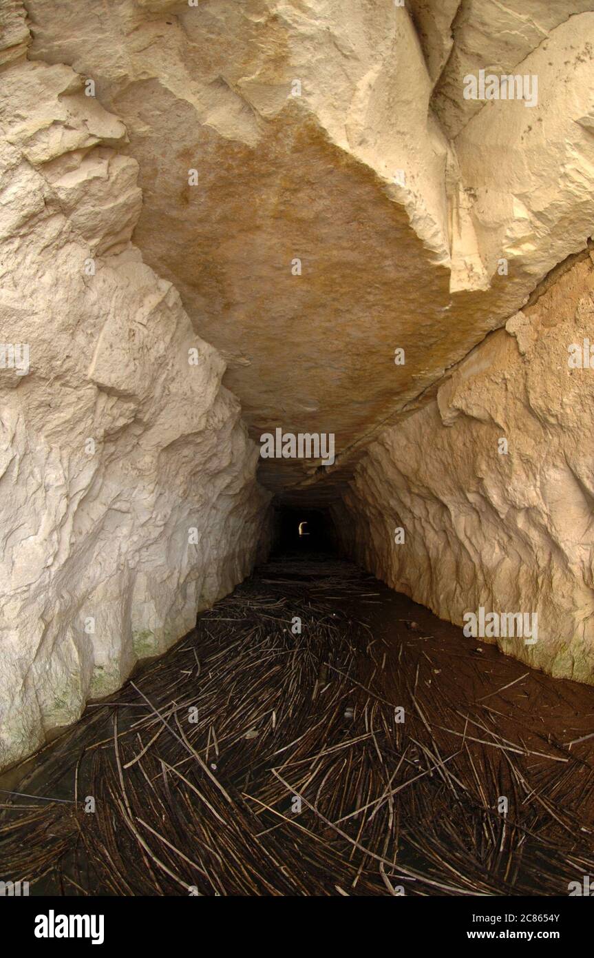 Comté de Val Verde, Texas octobre 2005 : abandon d'un tunnel ferroviaire de 1 200 pieds à travers le calcaire le long du Rio Grande qui a été en service de 1889 à 1910 pour le service ferroviaire vers la côte ouest de San Antonio. ©Bob Daemmrich Banque D'Images
