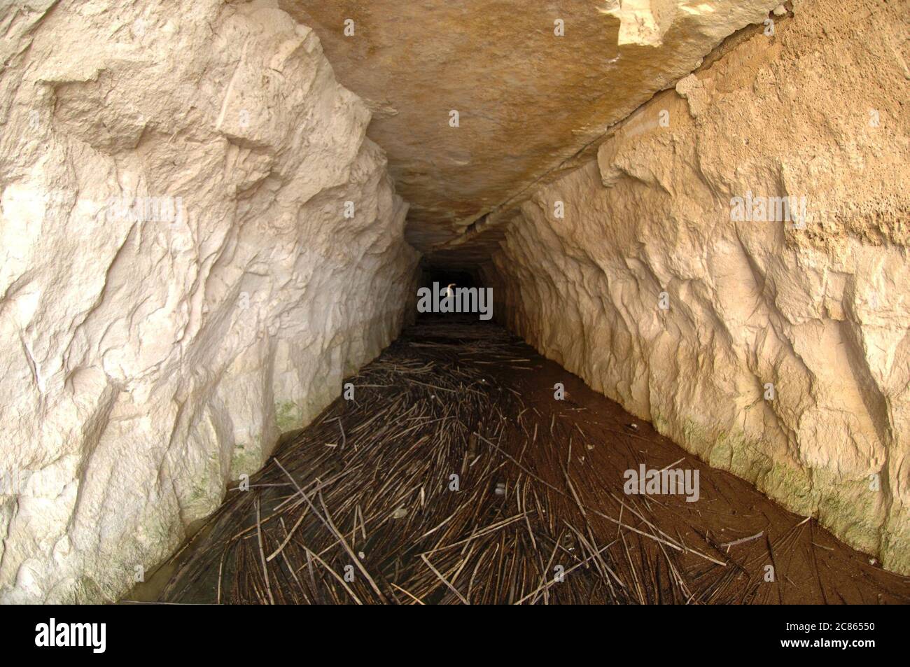 Comté de Val Verde, Texas octobre 2005 : abandon d'un tunnel ferroviaire de 1 200 pieds à travers le calcaire le long du Rio Grande qui a été en service de 1889 à 1910 pour le service ferroviaire vers la côte ouest de San Antonio. ©Bob Daemmrich Banque D'Images