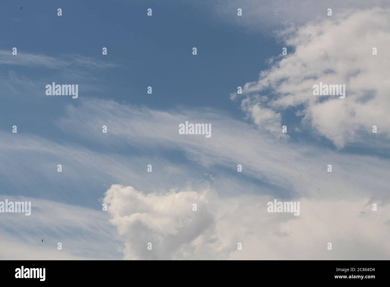 Cirroforme et aussi Cumuloforme - nuages - peuvent être vus ici. Certains nuages sont en pente. Banque D'Images