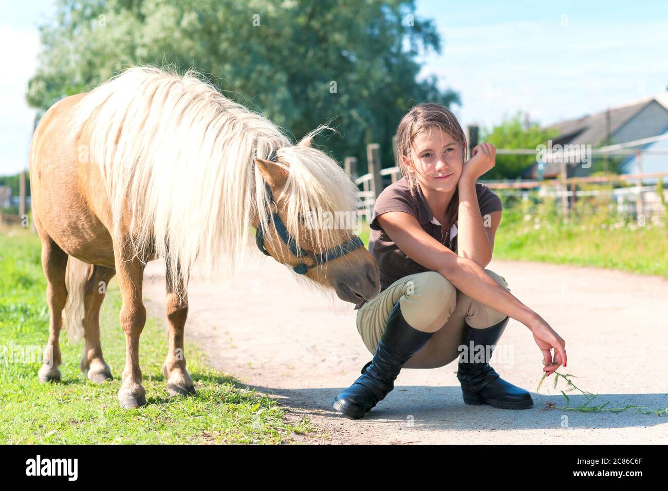 Docile de poney docile shetland avec son ami adolescente. Image horizontale d'été multicolore en plein air. Banque D'Images