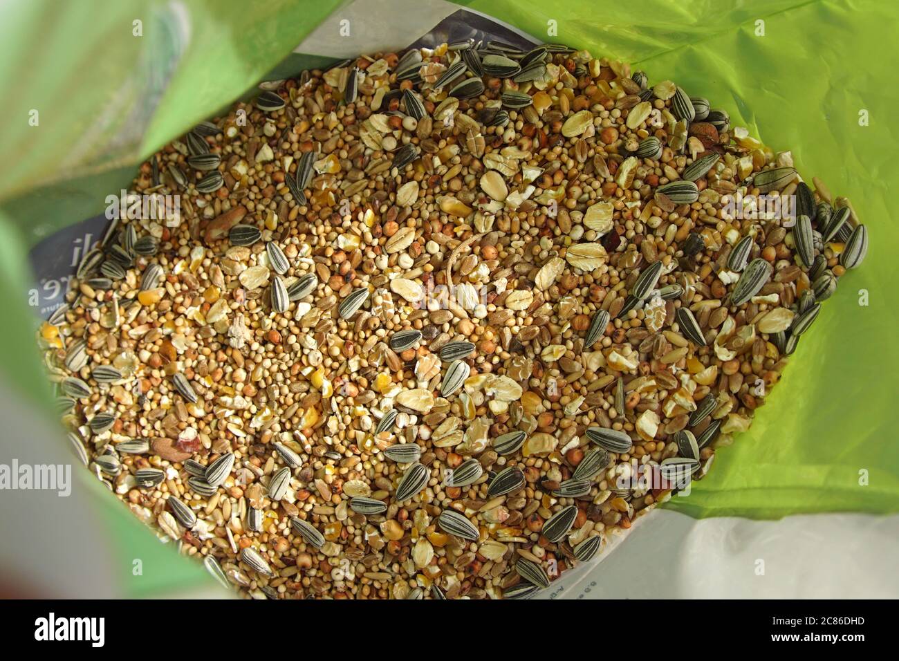 Graines de nourriture d'oiseau sauvage dans un sac à donner en hiver dans le jardin. Pays-Bas, Bergen, février Banque D'Images