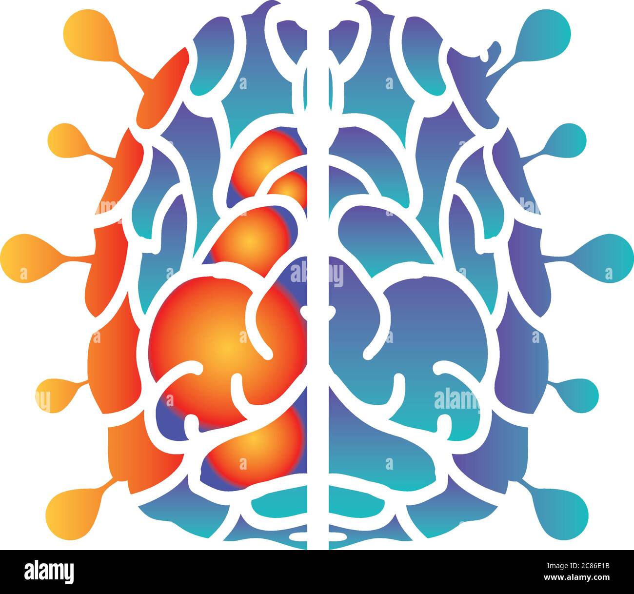 Cerveau humain avec deux hémisphères Banque d'images détourées - Alamy