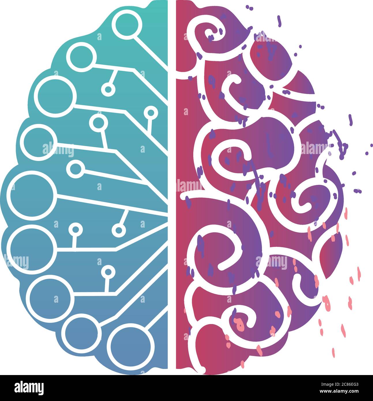 Cerveau humain avec deux hémisphères Banque d'images détourées - Alamy