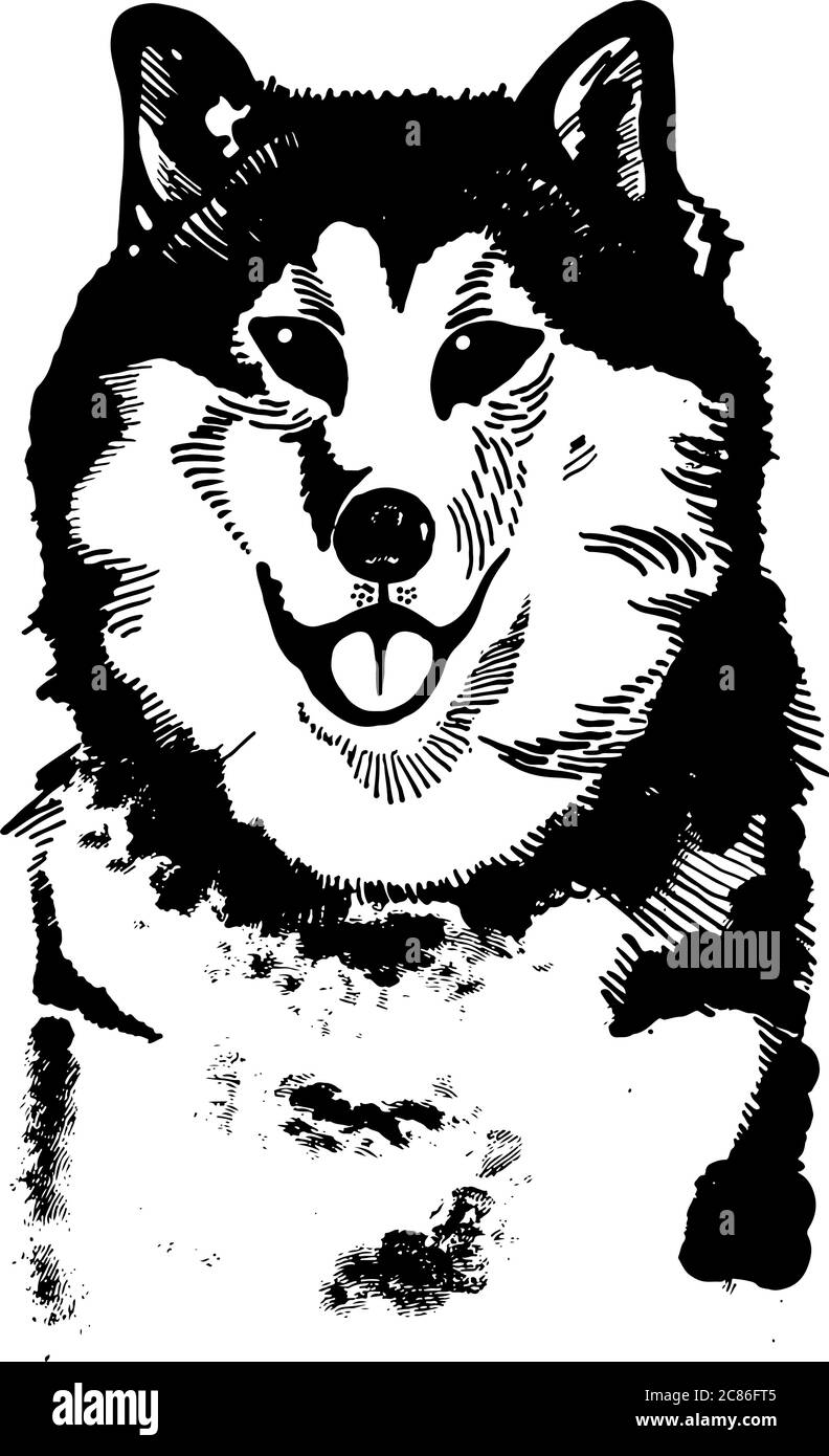 Illustration vectorielle noire et blanche à encre dessinée à la main Husky Illustration de Vecteur
