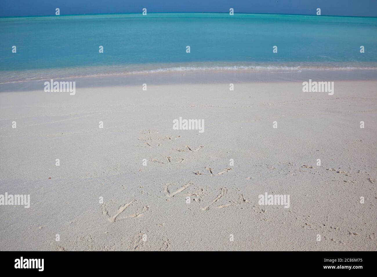 Empreintes de l'albatros de Laysan, du Phoebastria immutabilis et de l'albatros à pieds noirs, du Phoebastria nigricans, dans le sable de la plage de Sand Island, dans l'atoll de Midway Banque D'Images