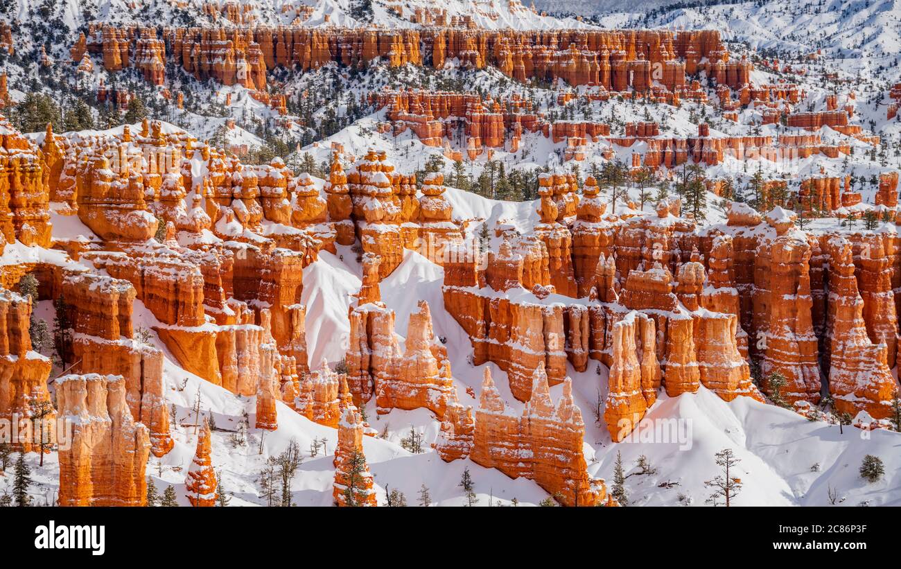 Parc national de Bryce Canyon avec neige, Utah, États-Unis. Banque D'Images