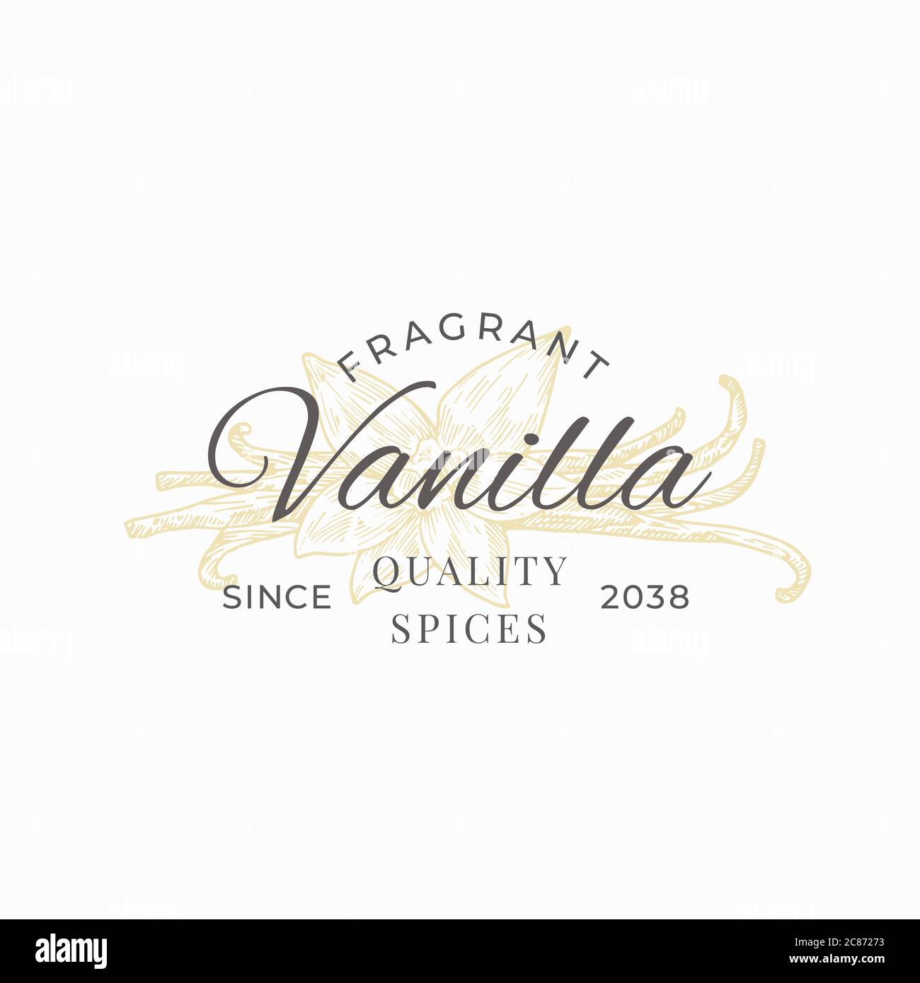 Modèle de symbole, de logo ou de signe vectoriel parfumé à la vanille. Élégant dessin à la main vanille fleur et bâtons Silltick avec Typographie rétro Illustration de Vecteur