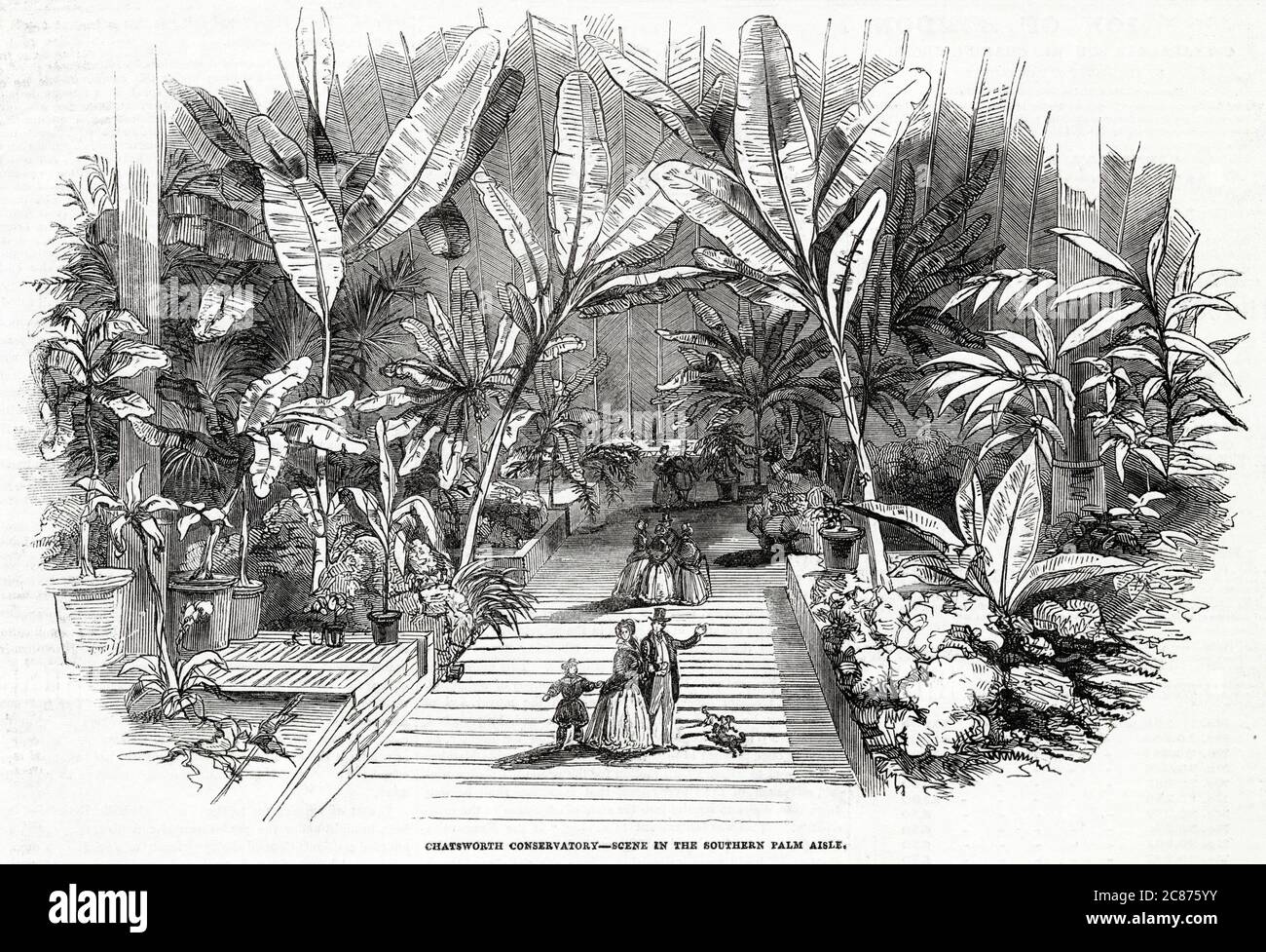 Scène dans l'allée de palmiers sud. Date: 1846 Banque D'Images