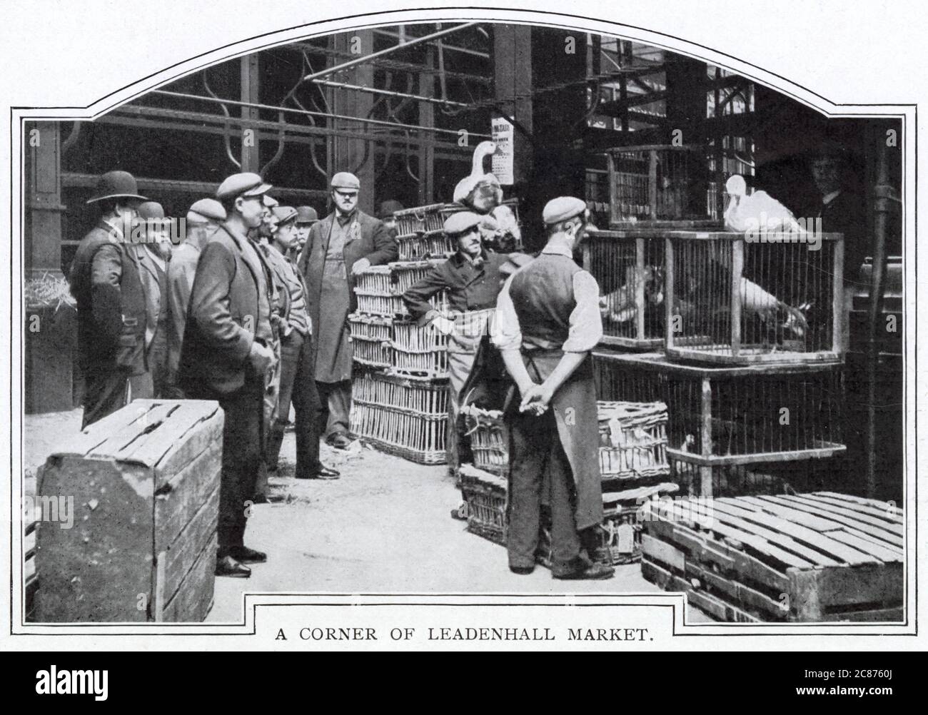 Marché couvert, vente de volaille vivante dans des cages. 1900 Banque D'Images