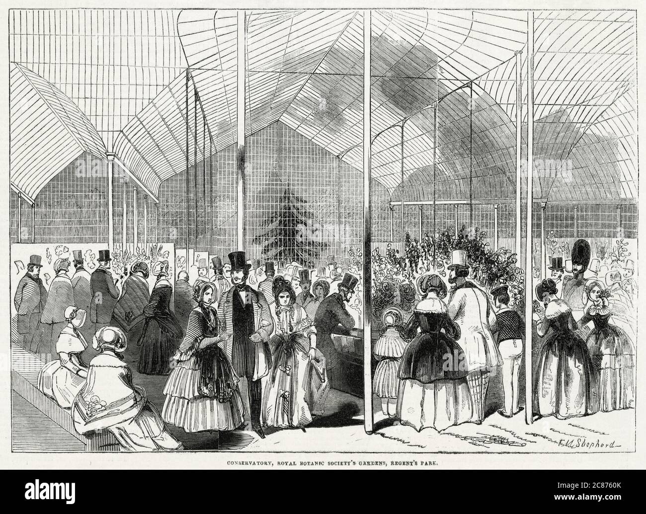 Le premier spectacle floral aux jardins de la Royal Botanic Society, dans le cercle intérieur du Regent's Park, Londres. 1846 Banque D'Images