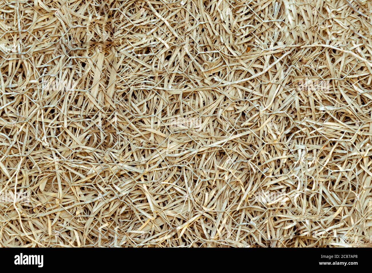 Texture de fond foin sec herbe Banque D'Images