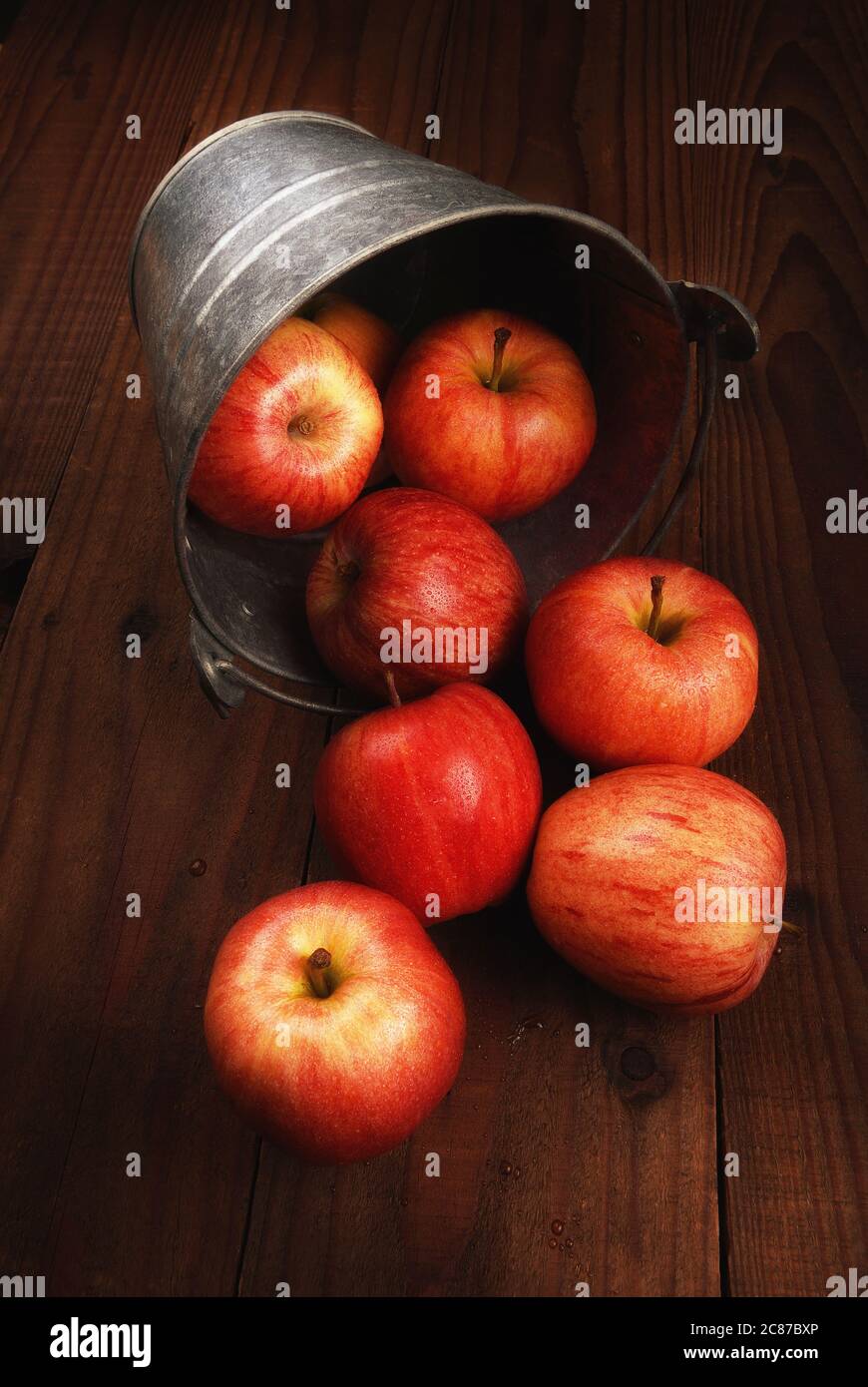 Pommes Gala fraîchement cueillies, qui se répandent d'un seau en métal sur une table en bois rustique avec une lumière d'appoint chaleureuse. Banque D'Images