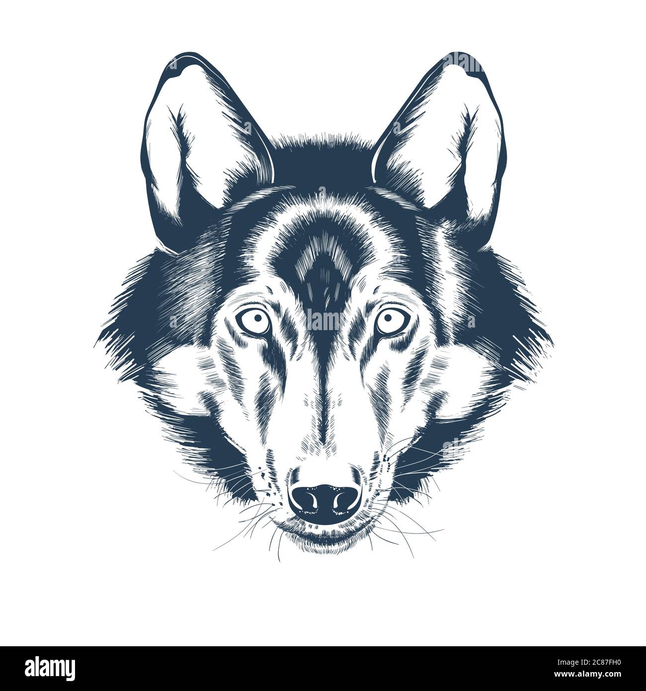 Wolf Face Animal Outline Banque D Image Et Photos Alamy