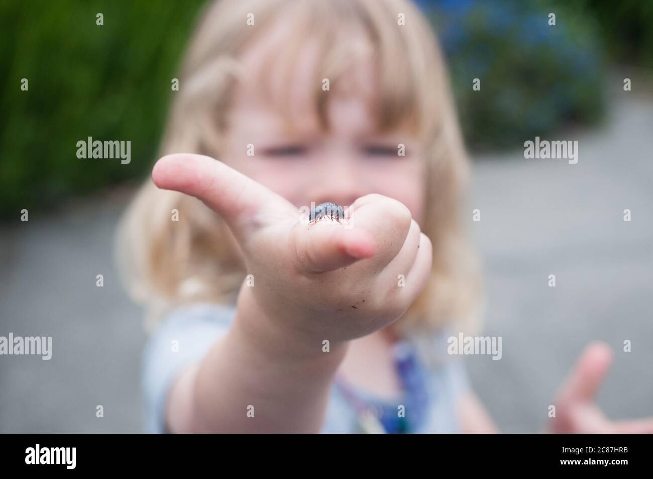 Gros plan d'une petite fille tenant un insecte du coléoptère de la pomme de terre sur son doigt. Sélectionnez la photo mise au point. Autorisation du modèle. Banque D'Images