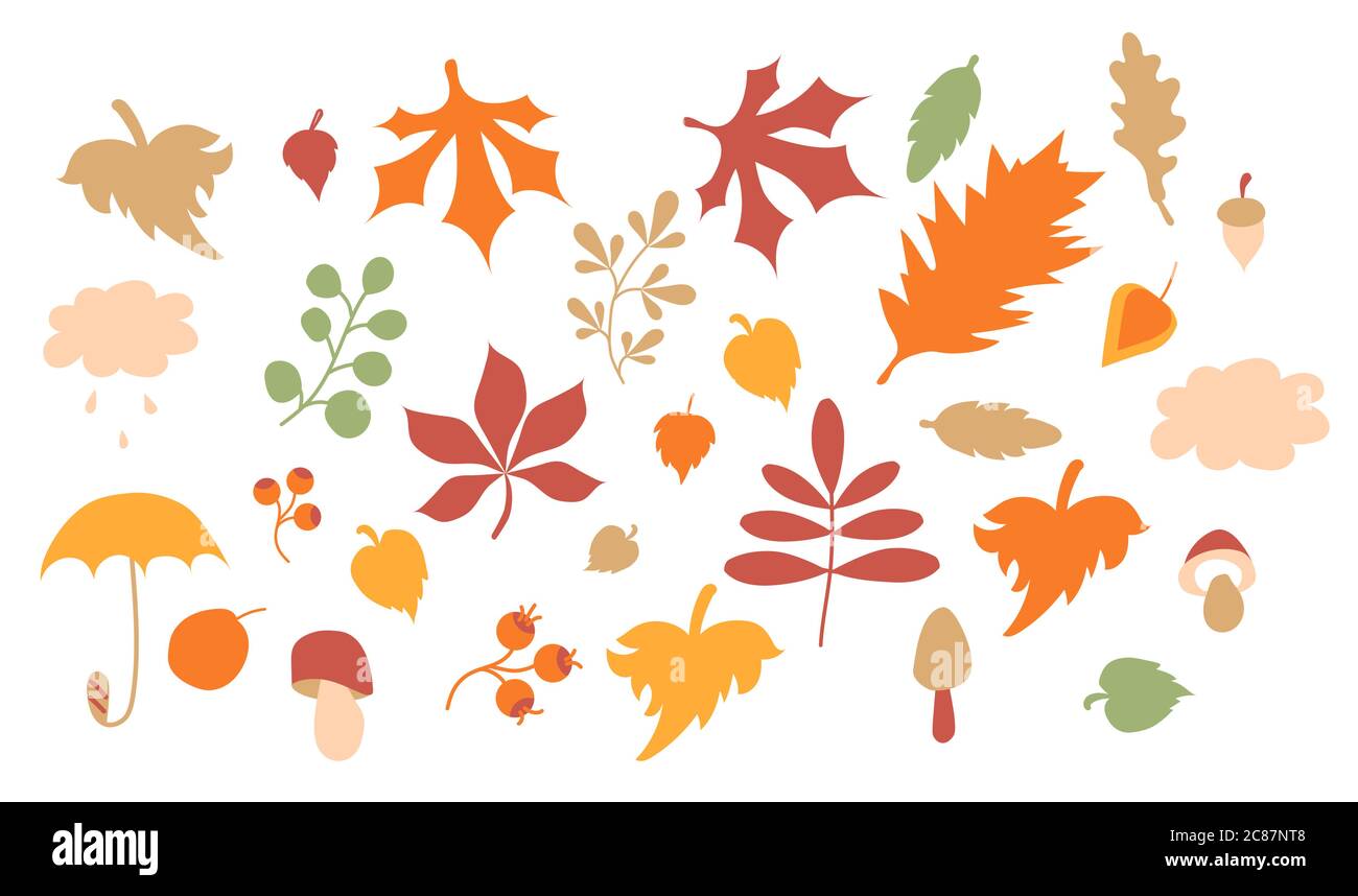 Confortable automne lumineux. Ensemble vectoriel de dessins d'automne. Colorer diverses feuilles et branches, des glands et des champignons, un parapluie et un nuage de pluie. Tous Illustration de Vecteur