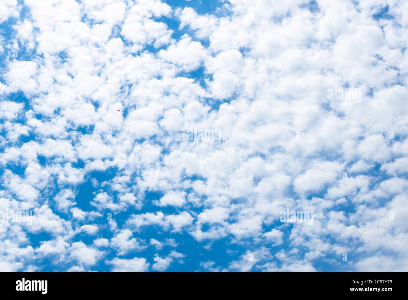 Ciel bleu vif avec nuage blanc plume. Banque D'Images