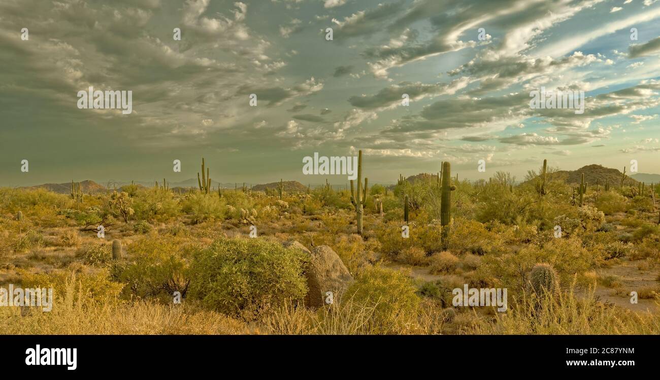 Pistes de vélo de montagne sur la route de terre menant à un coucher de soleil d'Arizona Banque D'Images