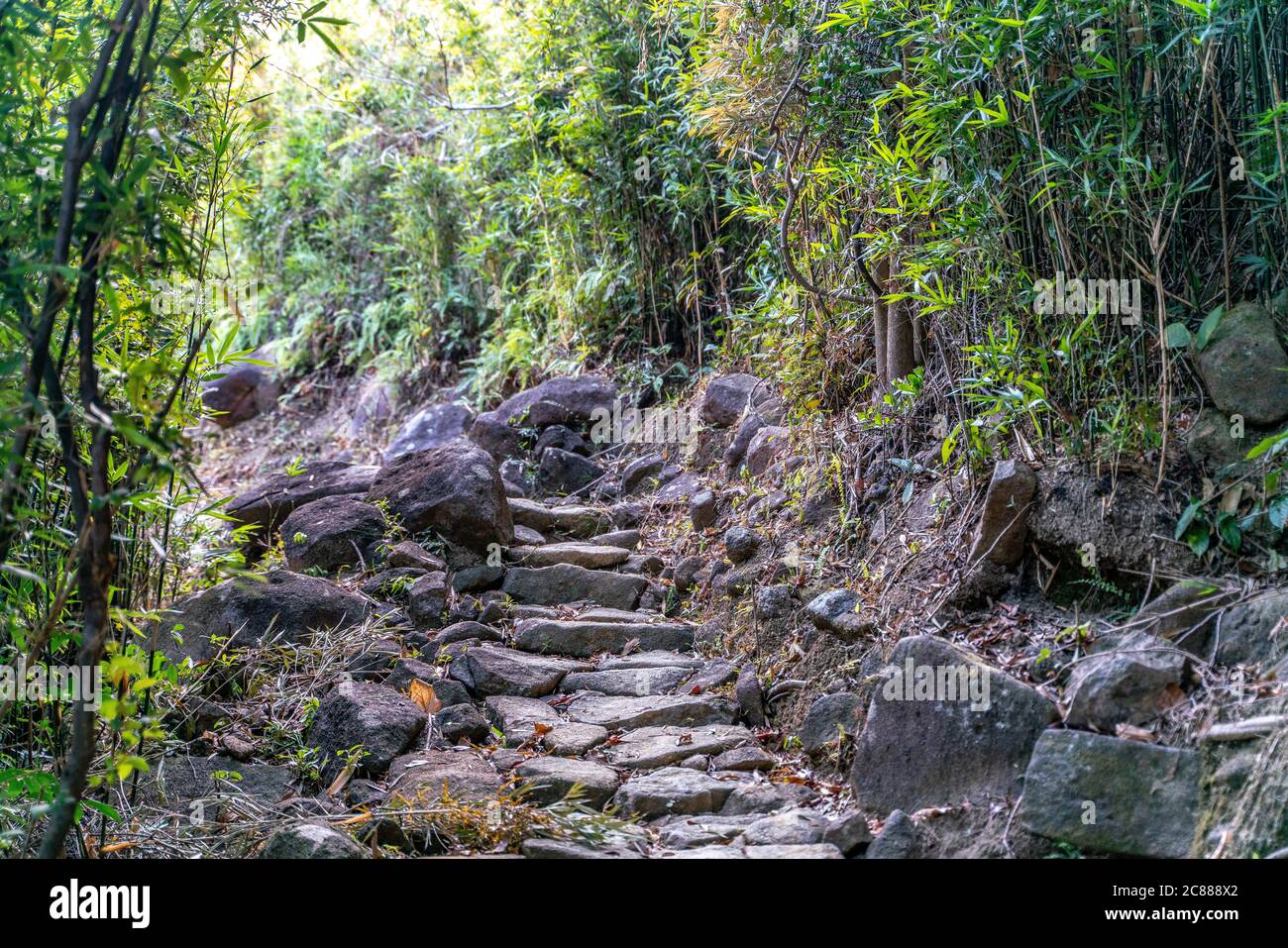 La belle route de randonnée ensoleillée dans le parc régional de Sai Kung East à Hong Kong Banque D'Images