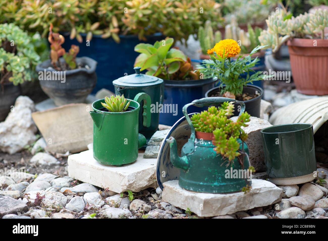 Idées de semoir réutilisées. Les bouilloires, casseroles et théières anciennes d'occasion se transforment en pots de fleurs de jardin. Jardin recyclé et style de vie peu gaspillez. Mise au point sélective. Banque D'Images