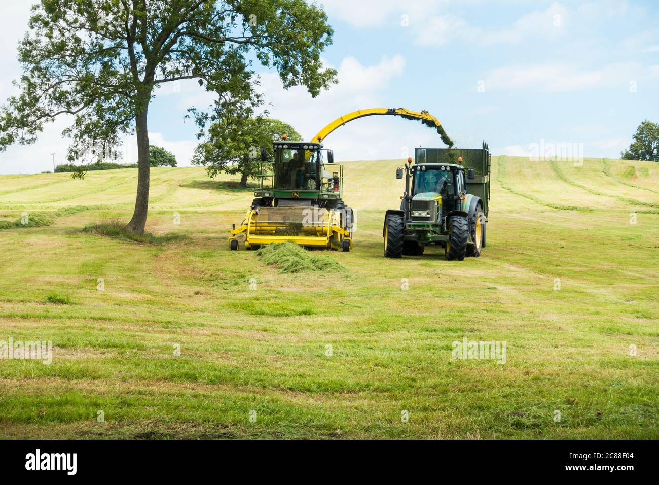 Agriculteur collectant de l'herbe pour le silo, Somerset, Angleterre, Royaume-Uni. Banque D'Images