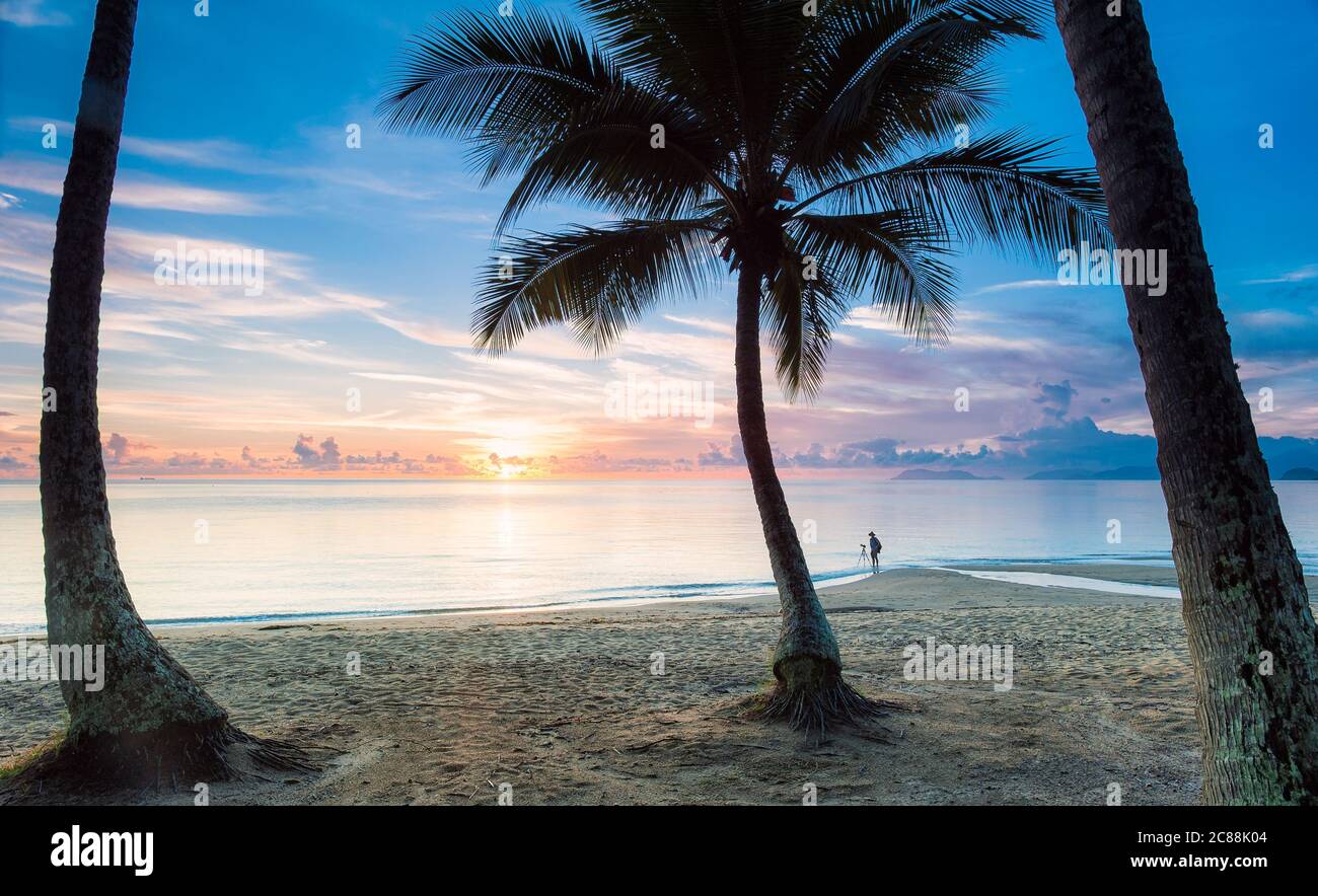 Vue au lever du soleil à travers les palmiers de premier plan à Palm Cove dans le Queensland, en Australie, alors qu'un photographe de paysage se prépare à prendre une photo. Banque D'Images