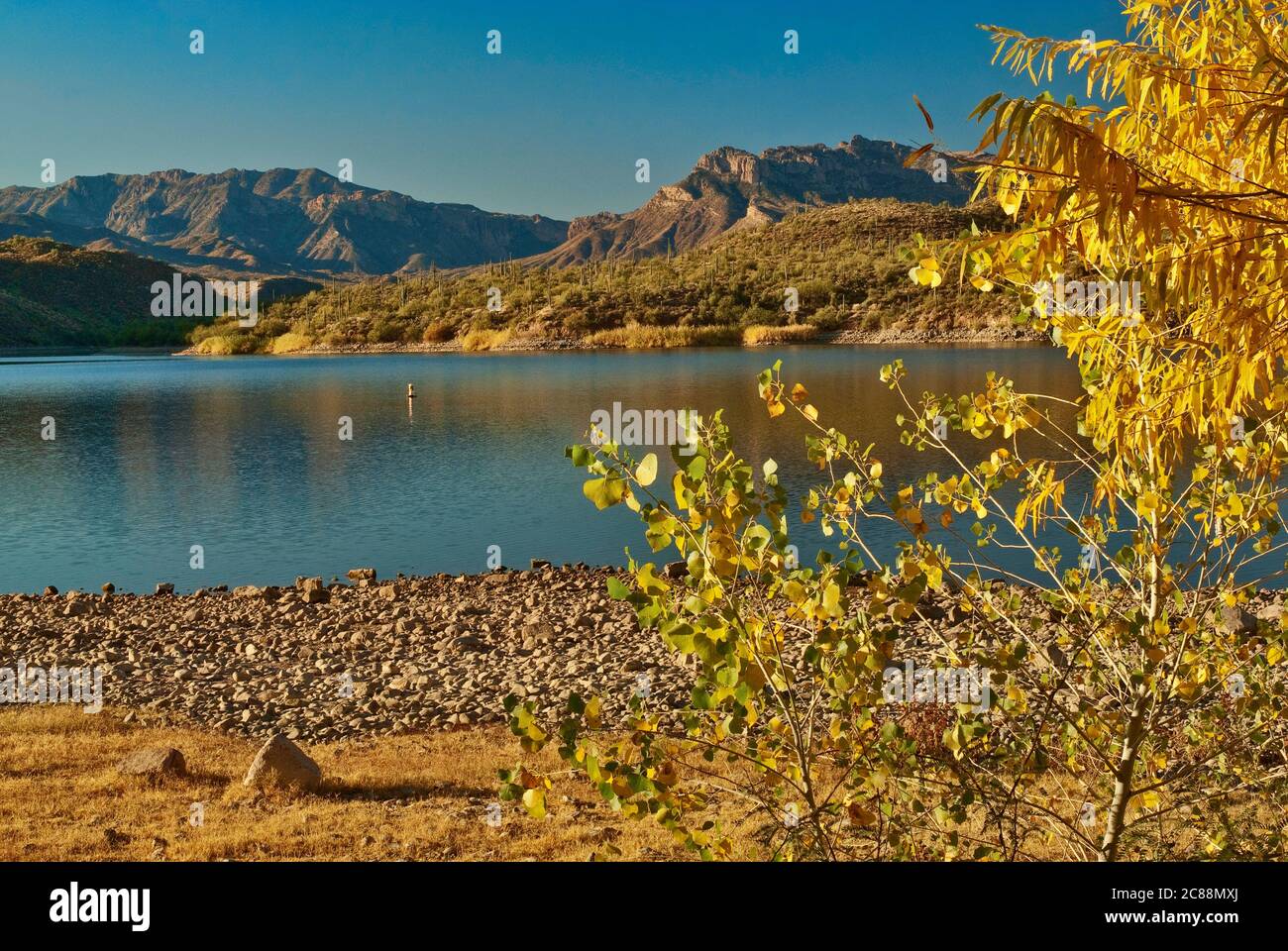 Lac Apache sur la rivière Salt dans les montagnes Superstition avec des arbres dans les couleurs d'automne vu du terrain de camping Burnt Corral à Apache Trail, Arizona, États-Unis Banque D'Images