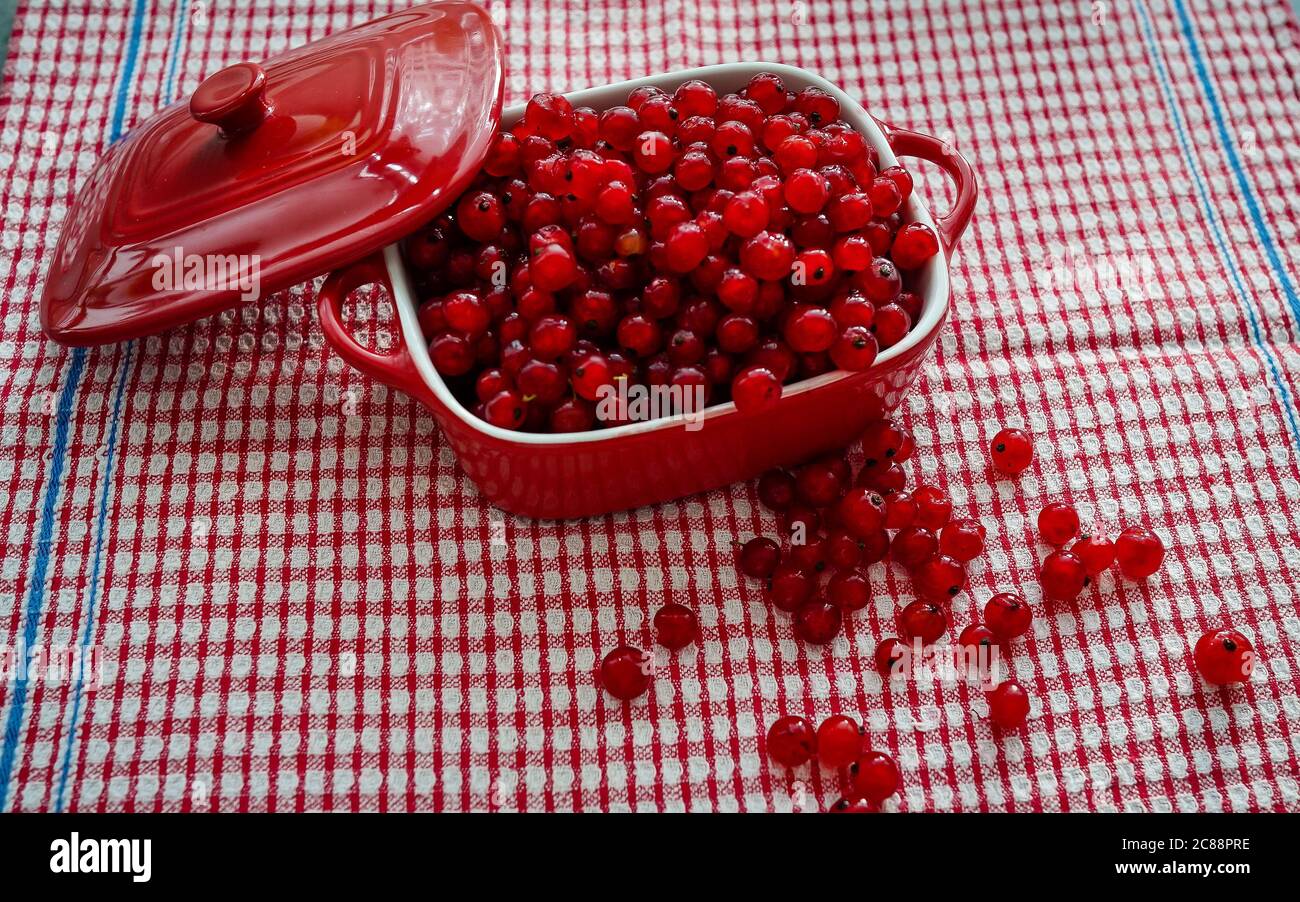 Raisins de Corinthe rouges frais dans un bol rouge sur une table rouge dans la cuisine. Fond naturel: Baies de cassis Banque D'Images