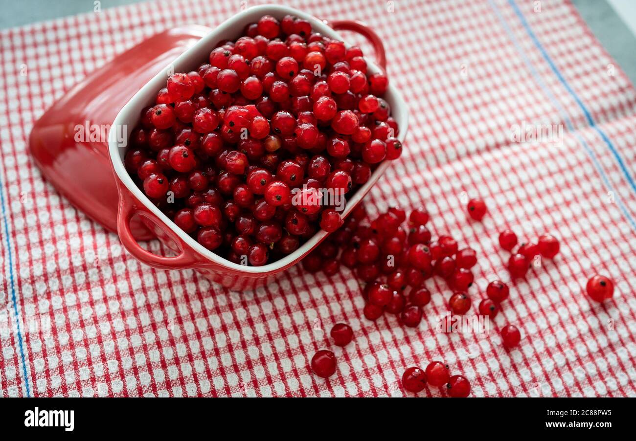 Raisins de Corinthe rouges frais dans un bol rouge sur une table rouge dans la cuisine. Fond naturel: Baies de cassis Banque D'Images