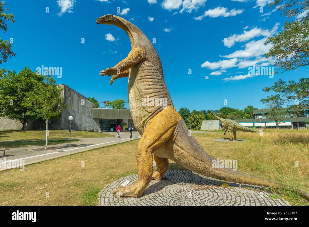 Musée Am Löwentor, Naturekundemuseum ou Musée des Sciences naturelles, Rosensteinpark, Stuttgart, Bade-Wurtemberg, Allemagne, Europe Banque D'Images