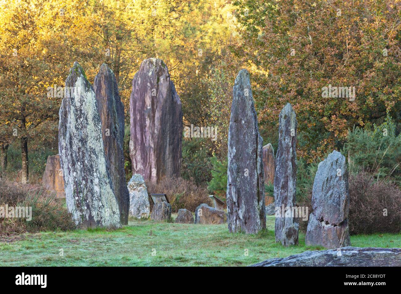 Menhirs de Monteneuf près de la forêt de Broceliande, Bretagne, France Banque D'Images