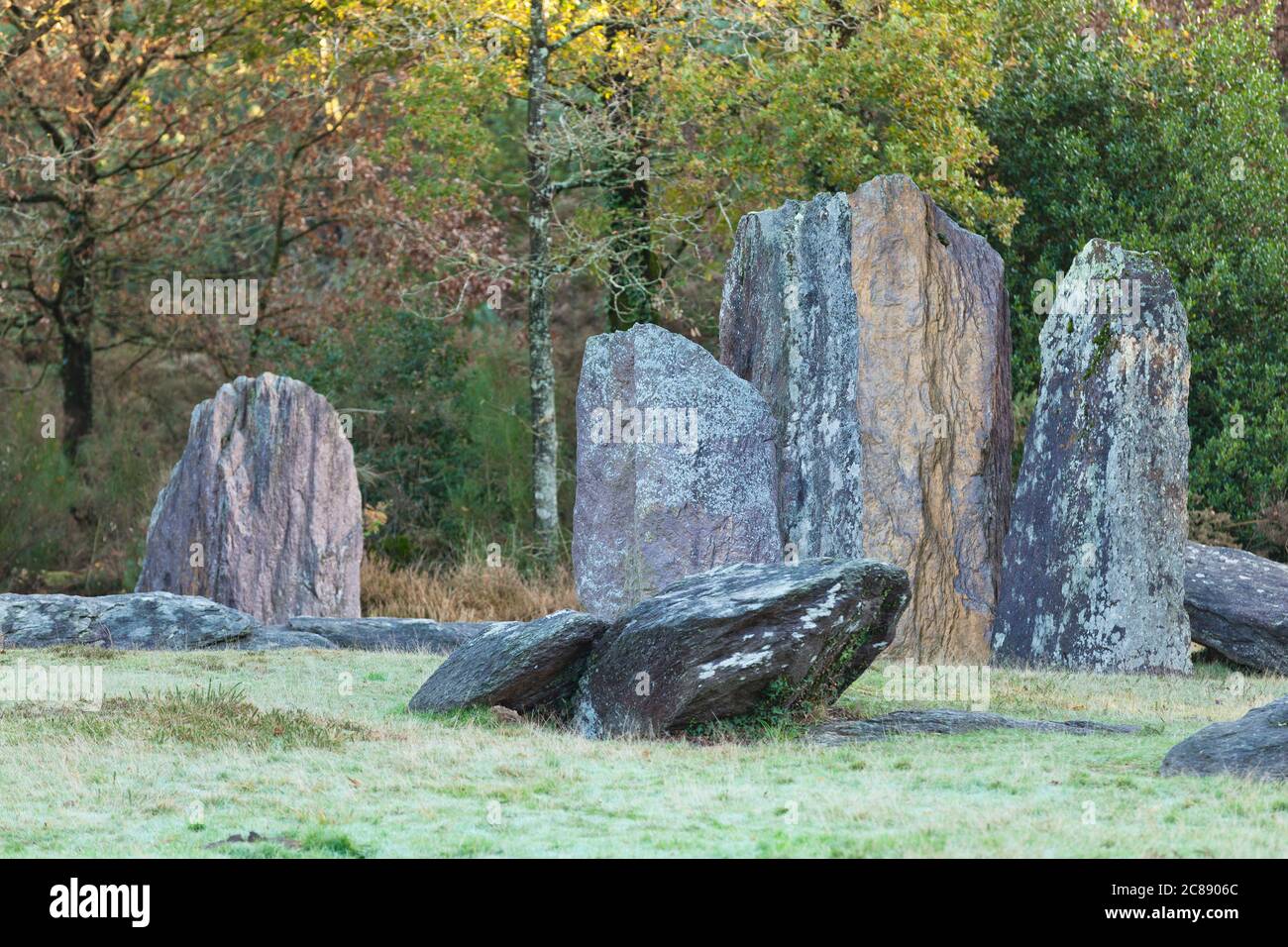 Dolmen de Monteneuf nayé des Waldes Broceliande, Bretagne Banque D'Images