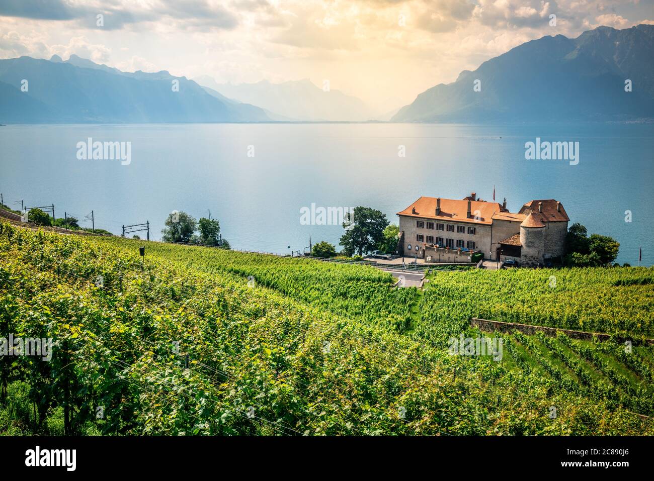 Vue panoramique sur le lac Léman et les vignobles en terrasse de Lavaux avec une lumière spectaculaire à Lavaux Suisse Banque D'Images