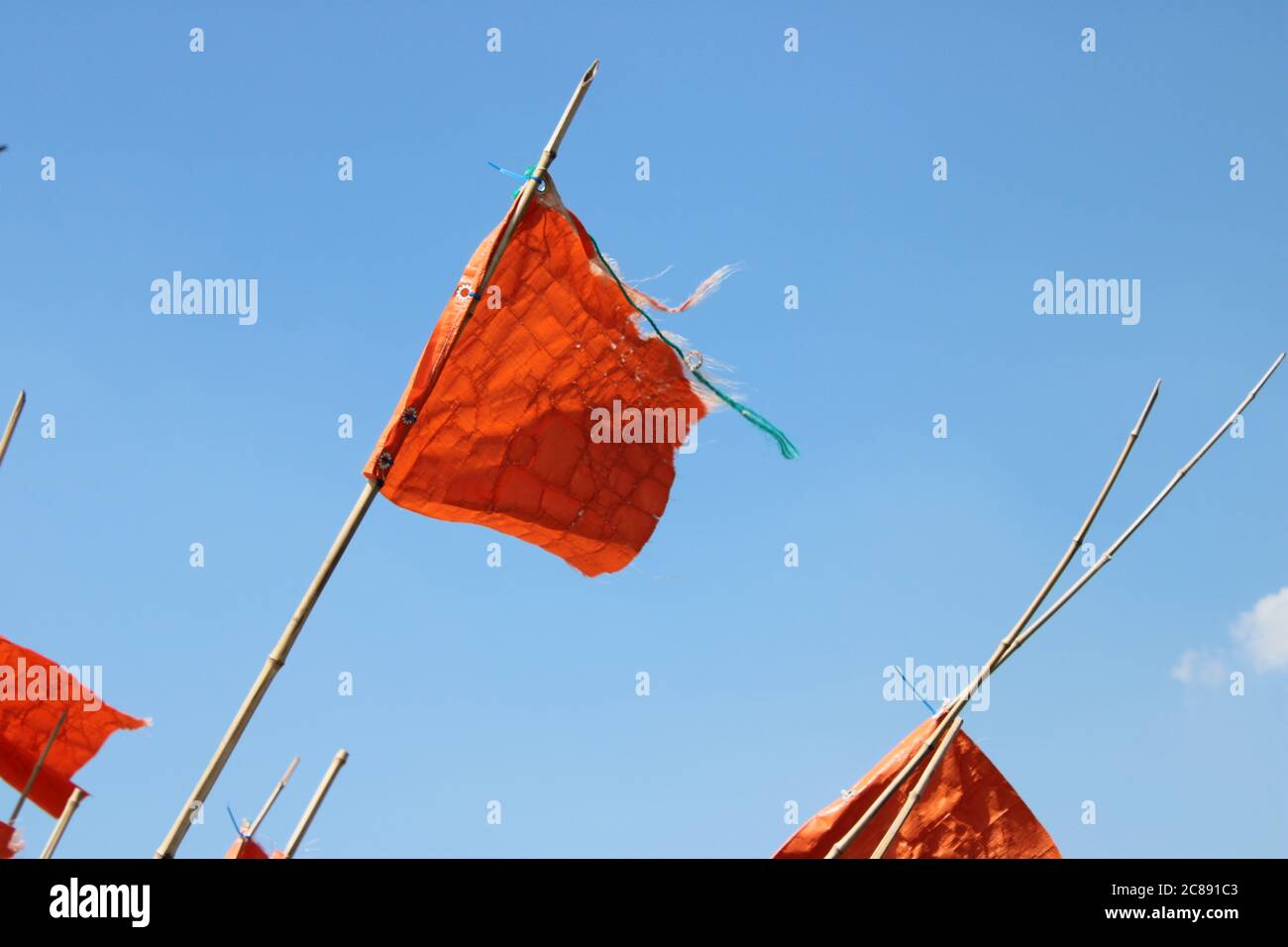 Lot De 20 Drapeaux De Marquage Rouges 53 Cm - Pour Jardin, Chantier, Irrigation - À Enfoncer Dans Le Sol