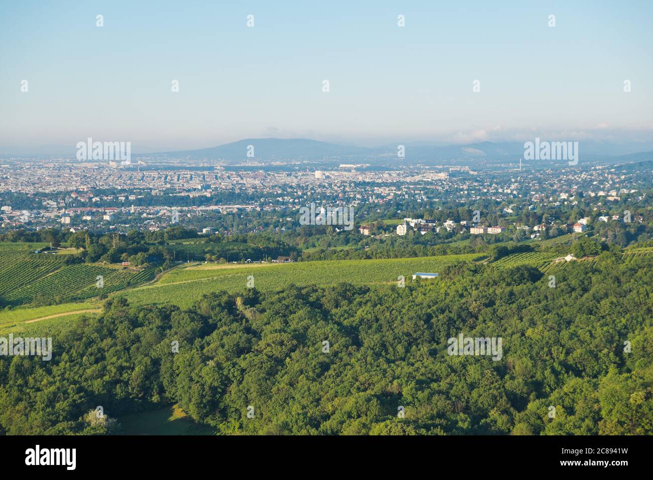 Vue panoramique depuis Leopoldsberg sur les collines de la forêt de Vienne et la ville le matin. Banque D'Images