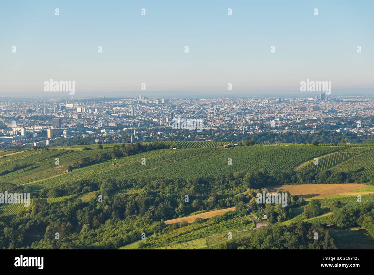 Vue panoramique sur la ville de Vienne et les vignes et les collines de la forêt de Vienne depuis Leopoldsberg le matin. Banque D'Images