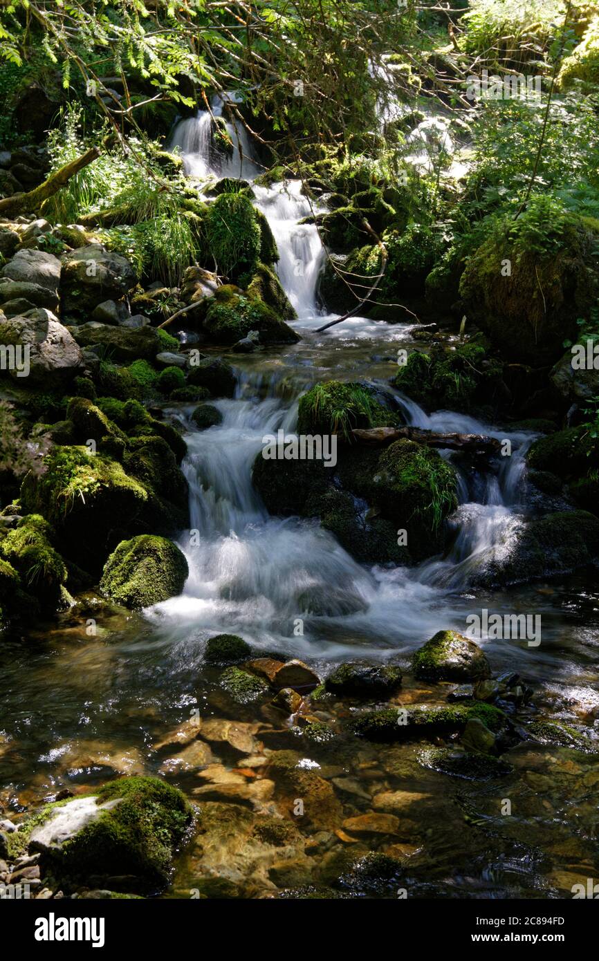 Petite cascade dans une forêt de Belledonne Banque D'Images