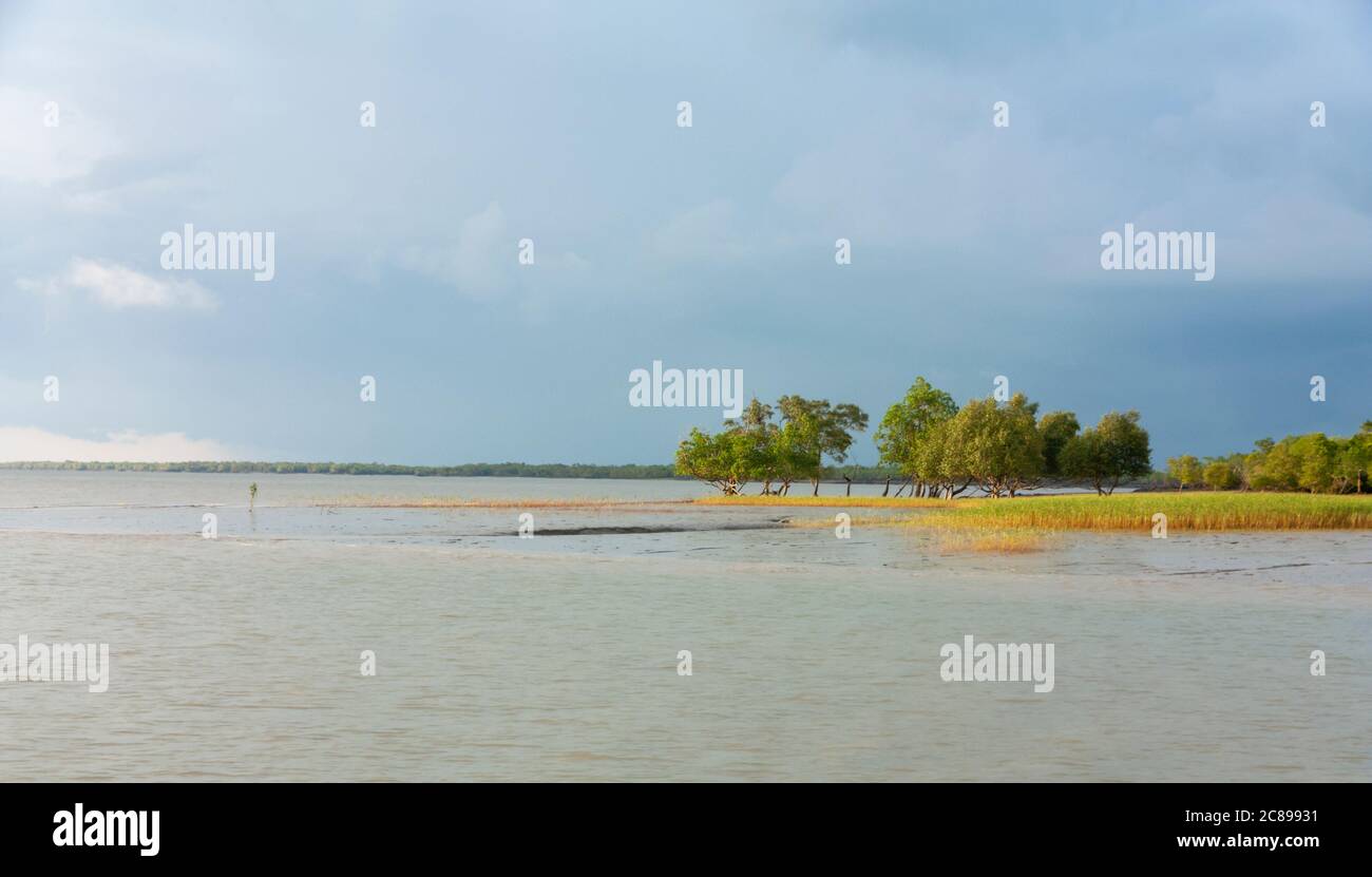 Paysages du Parc national des Sunderbans, Inde du Bengale occidental , la plus grande forêt de mangroves du monde. Banque D'Images