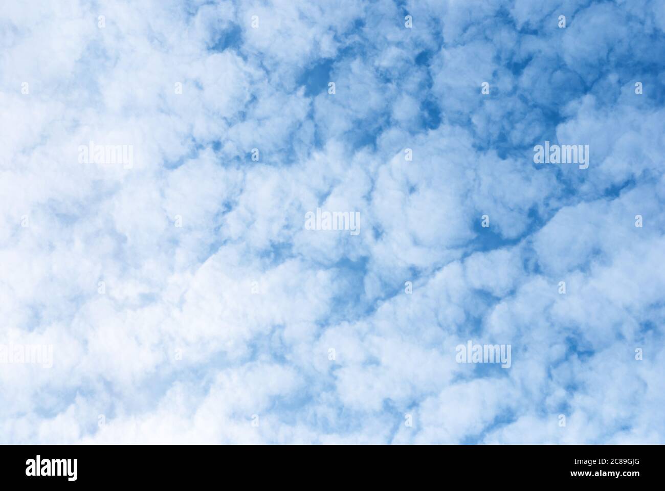 nuages blancs de fleurs dans le ciel bleu, altocumulus nuages moelleux fond Banque D'Images