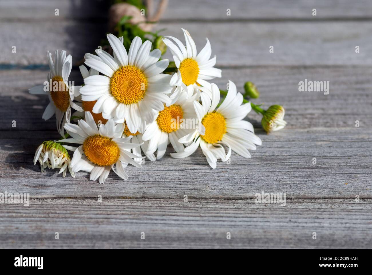 bouquet de pâquerettes sur table en bois gris, style rustique Banque D'Images