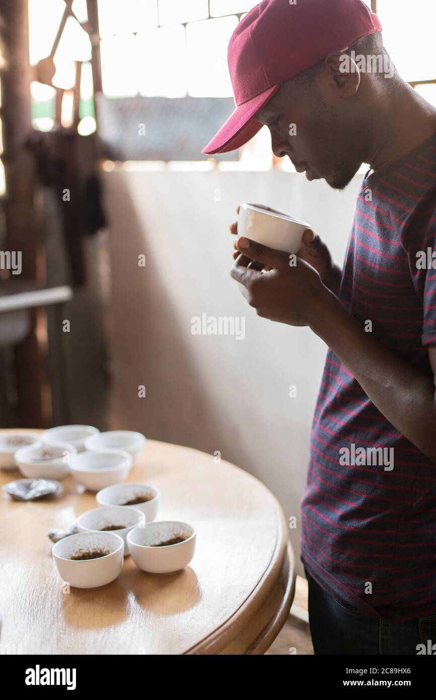 Dégustation de café (en cupping) par des dégustateurs professionnels Q-Grader au Mountain Harvest Coffee à Mbale, Ouganda, Afrique de l'est. Banque D'Images