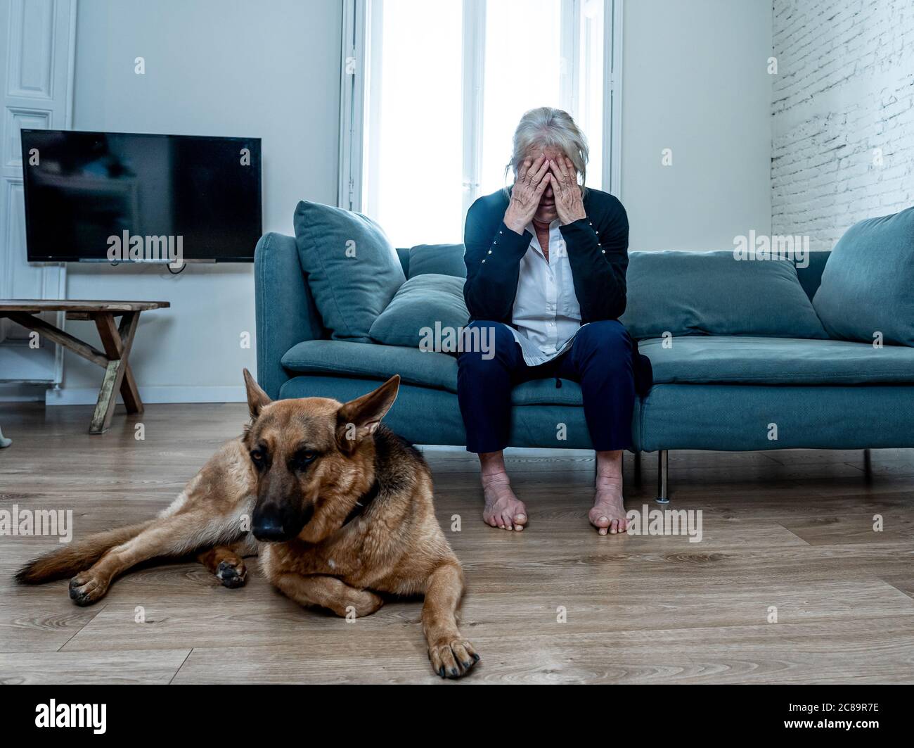 Une vieille femme âgée en dépression pleure sur le canapé avec un chien de compagnie comme compagnon. Veuf triste et fatigué en raison de la pandémie de COVID-19. Mort du coronavirus, verrouillage, Banque D'Images